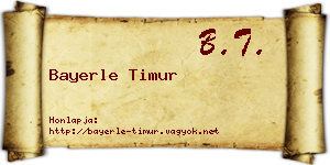 Bayerle Timur névjegykártya